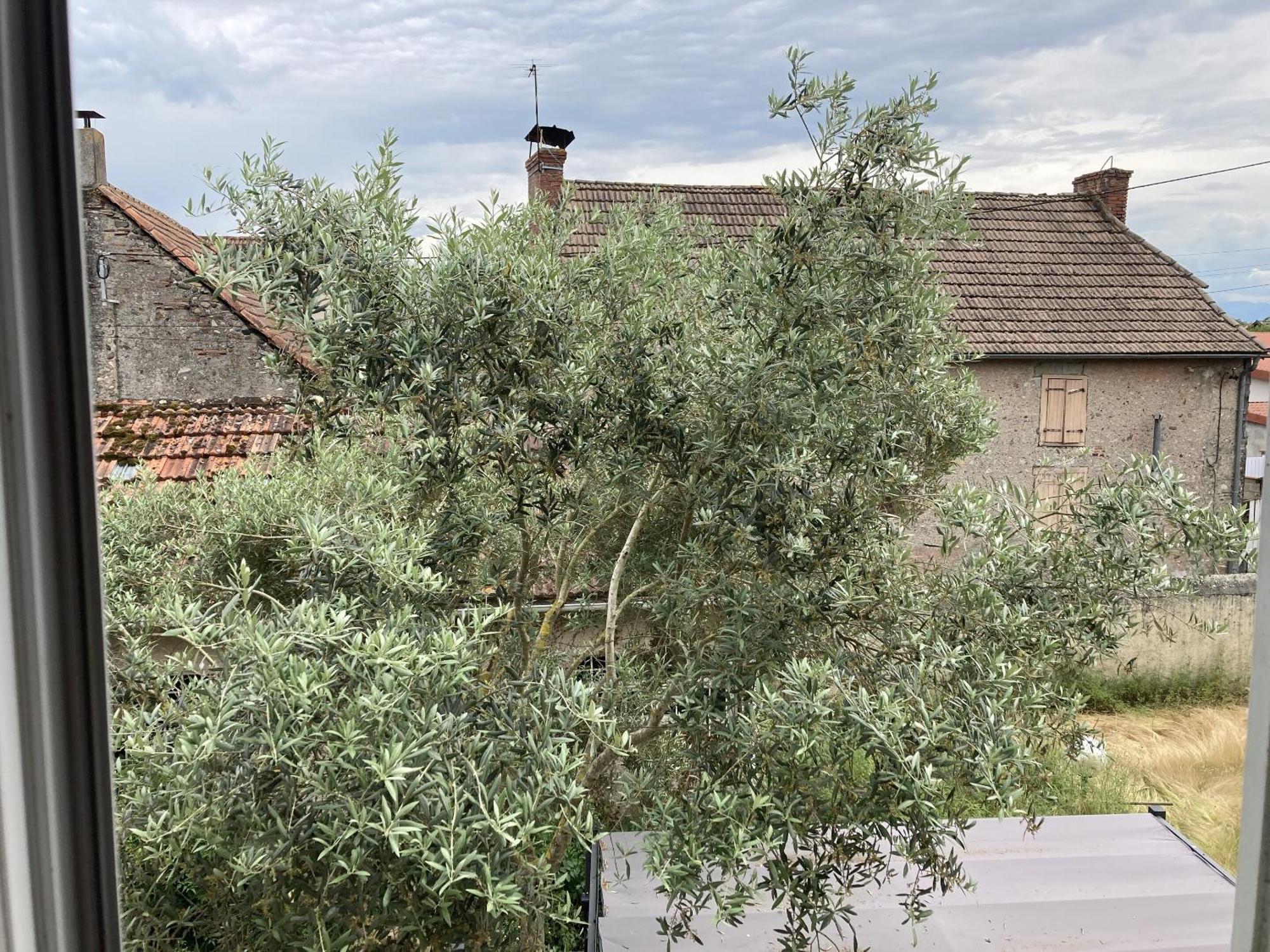 Location Appartement Des Pyrenees Borderes-sur-l'Echez Ruang foto